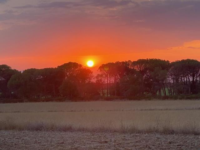 Can Massanet Llagostera Zewnętrze zdjęcie